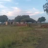 Mhlophekabhoza Sithole