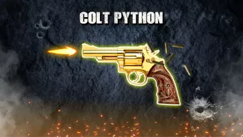 Gun Simulator