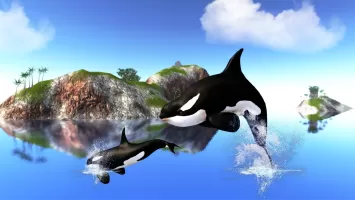 The Killer Whale