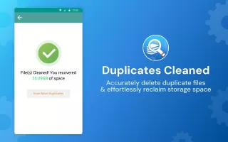 Duplicate Files Fixer