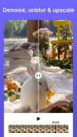Video Object Watermark Remover