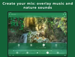 Relax Forest