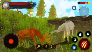 The Horse
