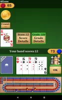 Cribbage Pro