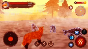 The Fox