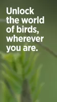 Audubon Bird Guide