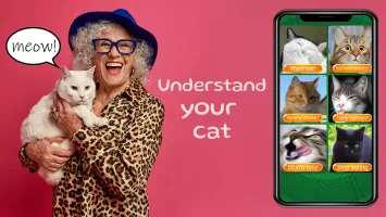 Laser for cat. Cat games. Joke