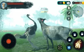 The Ostrich