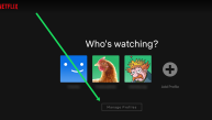 How to Delete a Netflix Profile?