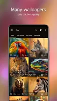 Animal Wallpapers 4K