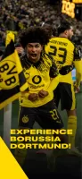 BVB