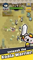 Combo Koala