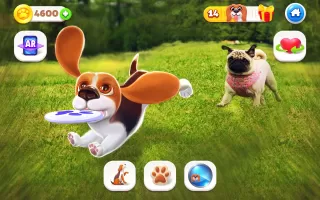 Tamadog - Puppy Pet Dog Games