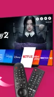 Universal Remote For LG TV