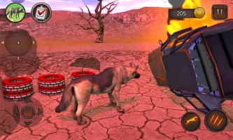 German Shepherd Simulator