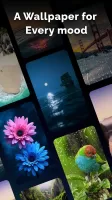 Transparent Camera Screen