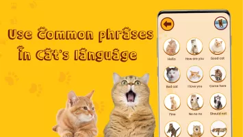 Translate for Animal: Cat, Dog