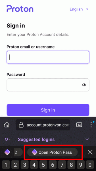 VPN Proton