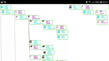 The Family Tree of Family