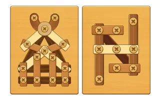 Screw Puzzle