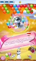 Puppy Bubble