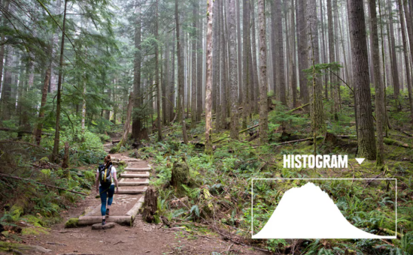 Image Combiner & Editor