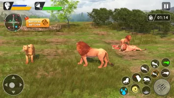 Lion Games Animal Simulator 3D