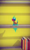 My Talking Parrot