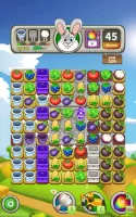 Farm Raid