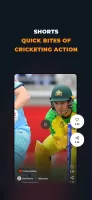 Cricket