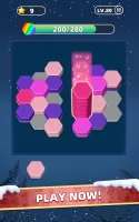 Hexa Puzzle Game: Color Sort