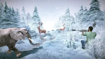 Deer Hunting Shooting Games