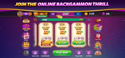 Backgammon Plus - Board Game