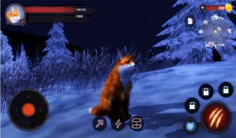 The Fox