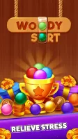 Woody Sort: Ball Sort Puzzle