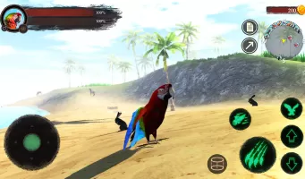 The Parrot