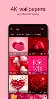 Love Wallpapers 4K