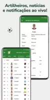 Brasileirão 2025 Série A B e C
