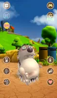 Talking Hedgehog