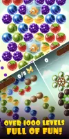 Fruity Cat: bubble shooter!