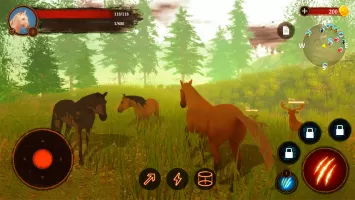 The Horse