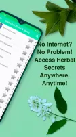 Medicinal Plants & Herbs Guide