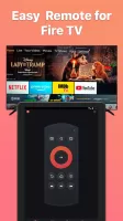 Remote for Fire TV & FireStick