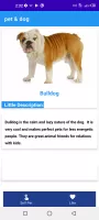 pet & dog - Buy and sell