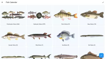 Fish Planet Calendar