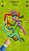 Tangled Snakes Puzzle Game