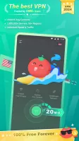 Tomato VPN