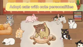 Furistas Cat Cafe