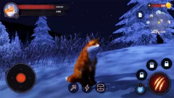The Fox
