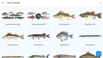 Fish Planet Calendar